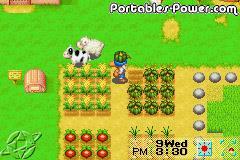 Harvest Moon : Friends of Mineral Town