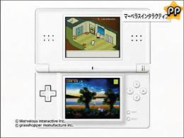 Nintendo DS lite