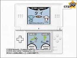 Nintendo DS lite